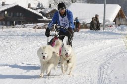 Lenk 2012 SM